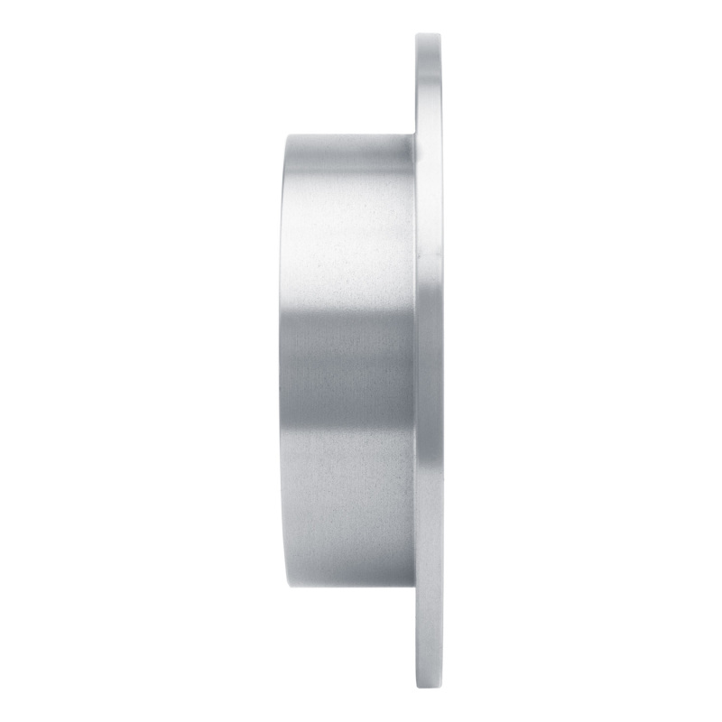 Hyundai Sonata Brake Rotor (1) - Rear - R1 Concepts - Plain - `01-`10